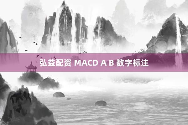 弘益配资 MACD A B 数字标注