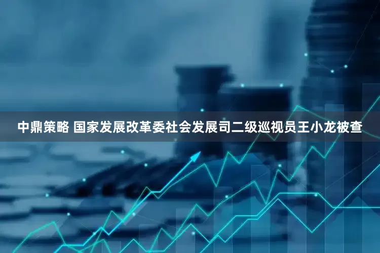 中鼎策略 国家发展改革委社会发展司二级巡视员王小龙被查