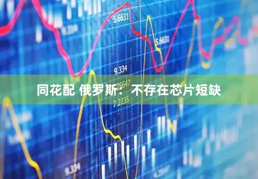 同花配 俄罗斯：不存在芯片短缺