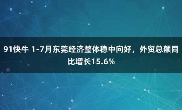 91快牛 1-7月东莞经济整体稳中向好，外贸总额同比增长15.6%