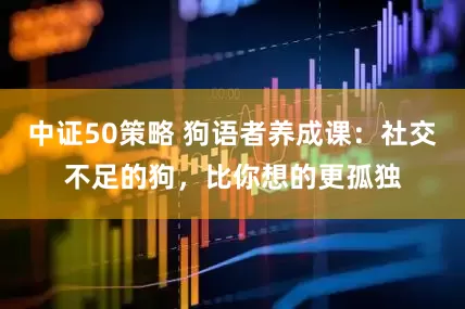 中证50策略 狗语者养成课：社交不足的狗，比你想的更孤独